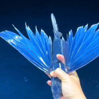 WU会飞的鱼头像