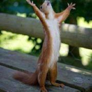 cxxer的个人资料头像