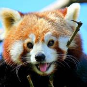 这个我不会啊的个人资料头像