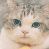 誓沙哌畜所那帮败累头像