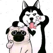 MR_AAA的个人资料头像