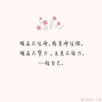 左手边的幸福4169头像