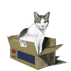 机器学习算法系列（二）- 口袋算法（Pocket Algorithm） - 掘金