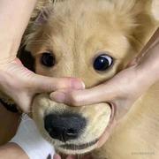 方应的个人资料头像