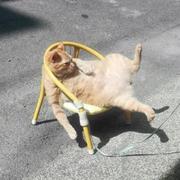 咕咕噜的个人资料头像