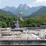 霸都居居侠看车头像