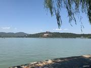 叉烧的个人资料头像