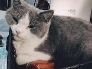 sleepyJerry的个人资料头像