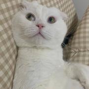 九三501的个人资料头像