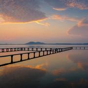 孚夸的个人资料头像