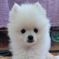 棕熊宝宝哦头像