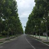 待购任何车型头像