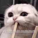 基围虾红酒的个人资料头像