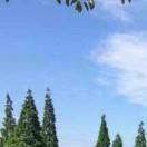 ZD43943的个人资料头像