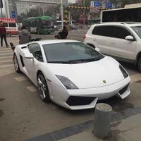 还记得小时候的梦吗头像