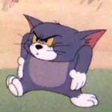 小贺头像