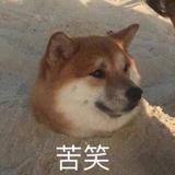 你军哥我呀头像