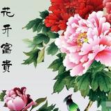 明达532头像