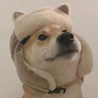 是我烂人啊头像