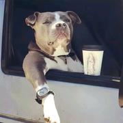 imdabinzi的个人资料头像