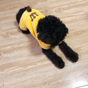 张志鹏482的个人资料头像