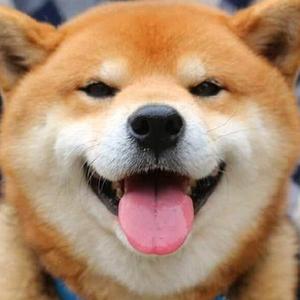 琵琶王头像