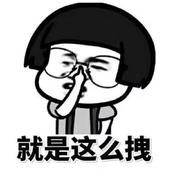 抱走白菜的个人资料头像