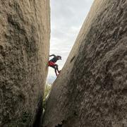 AAA的个人资料头像