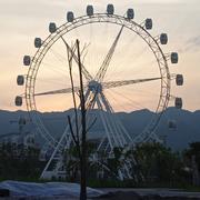 猪儿虫121的个人资料头像