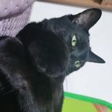 用户3552523871607头像