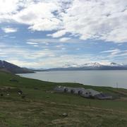 ShumTo的个人资料头像