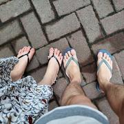 DanZS的个人资料头像