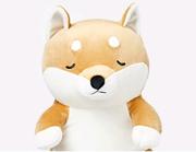 SOBER的个人资料头像