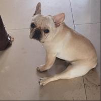 222永远在一起222头像