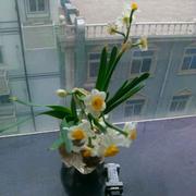 刘佳708的个人资料头像