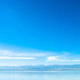 相信大地的力量头像