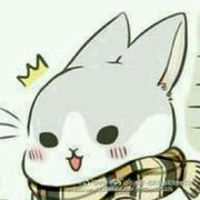 opteacher爱学习的个人资料头像