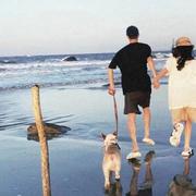 AlierQ的个人资料头像