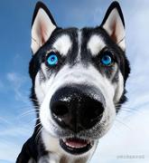 名字好难起的个人资料头像