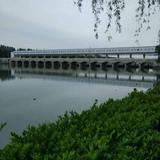 一路向钱665头像