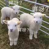 Rx45头像