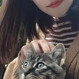 你也喝旺仔吗头像