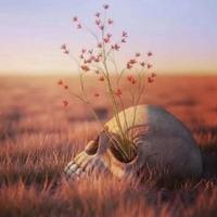 懂车帝的老叶啊头像