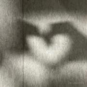 Perilt的个人资料头像