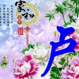 卢鹏翼头像