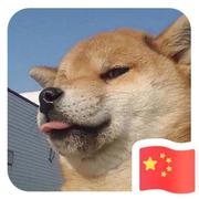 用户406578085708的个人资料头像