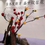 朋友人头像