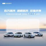 梦幻百灵鸟h6h头像