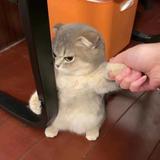 你看看人家I头像