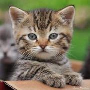 769344359的个人资料头像